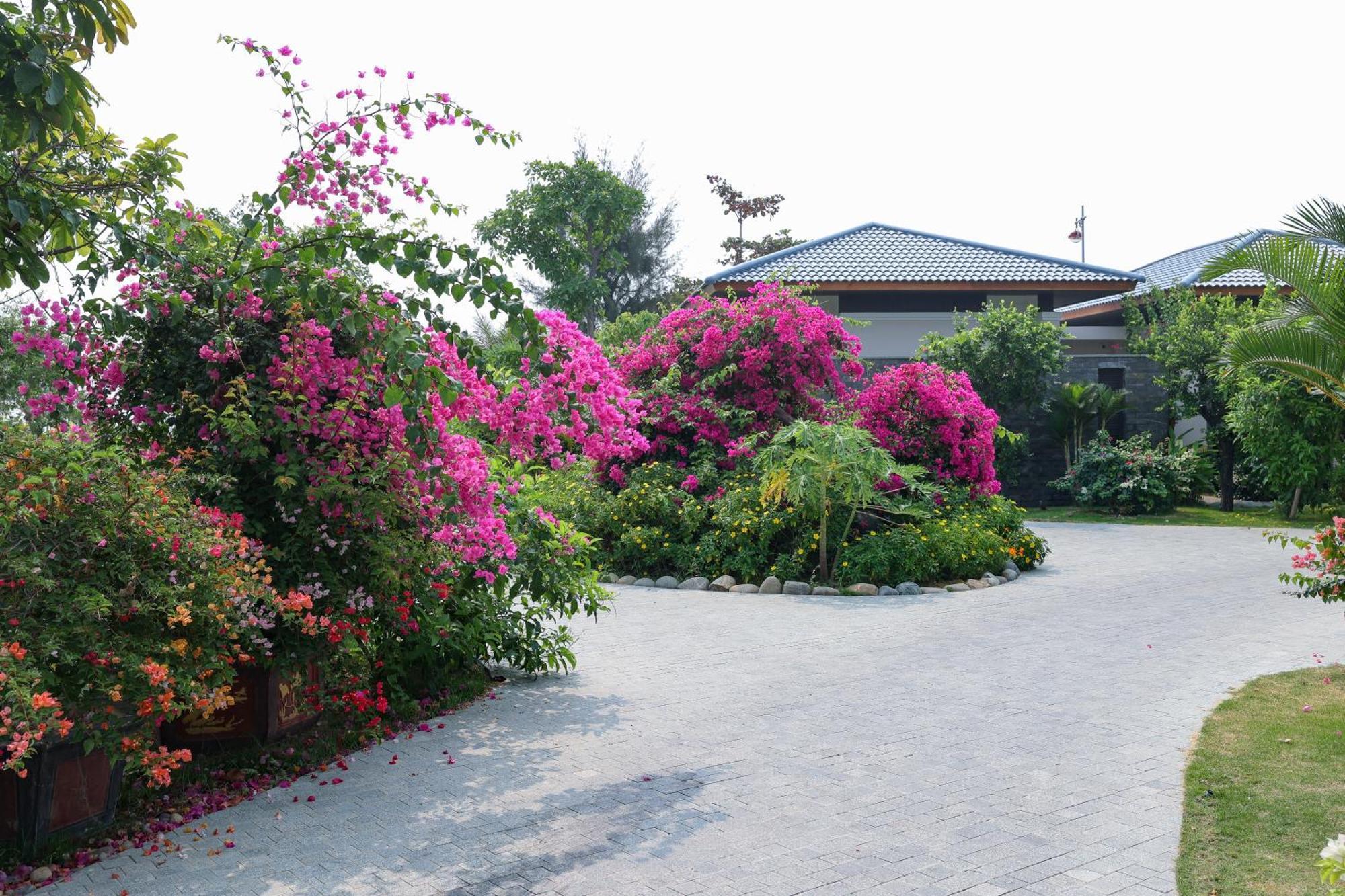 פאן ראנג Hoan My Resort - Ninh Chu מראה חיצוני תמונה