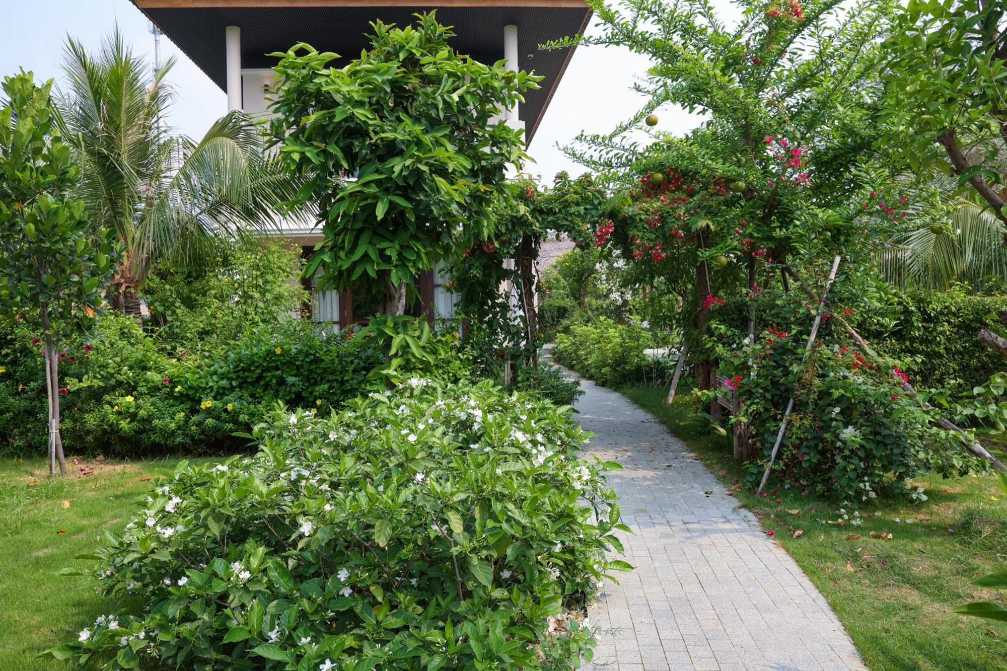פאן ראנג Hoan My Resort - Ninh Chu מראה חיצוני תמונה