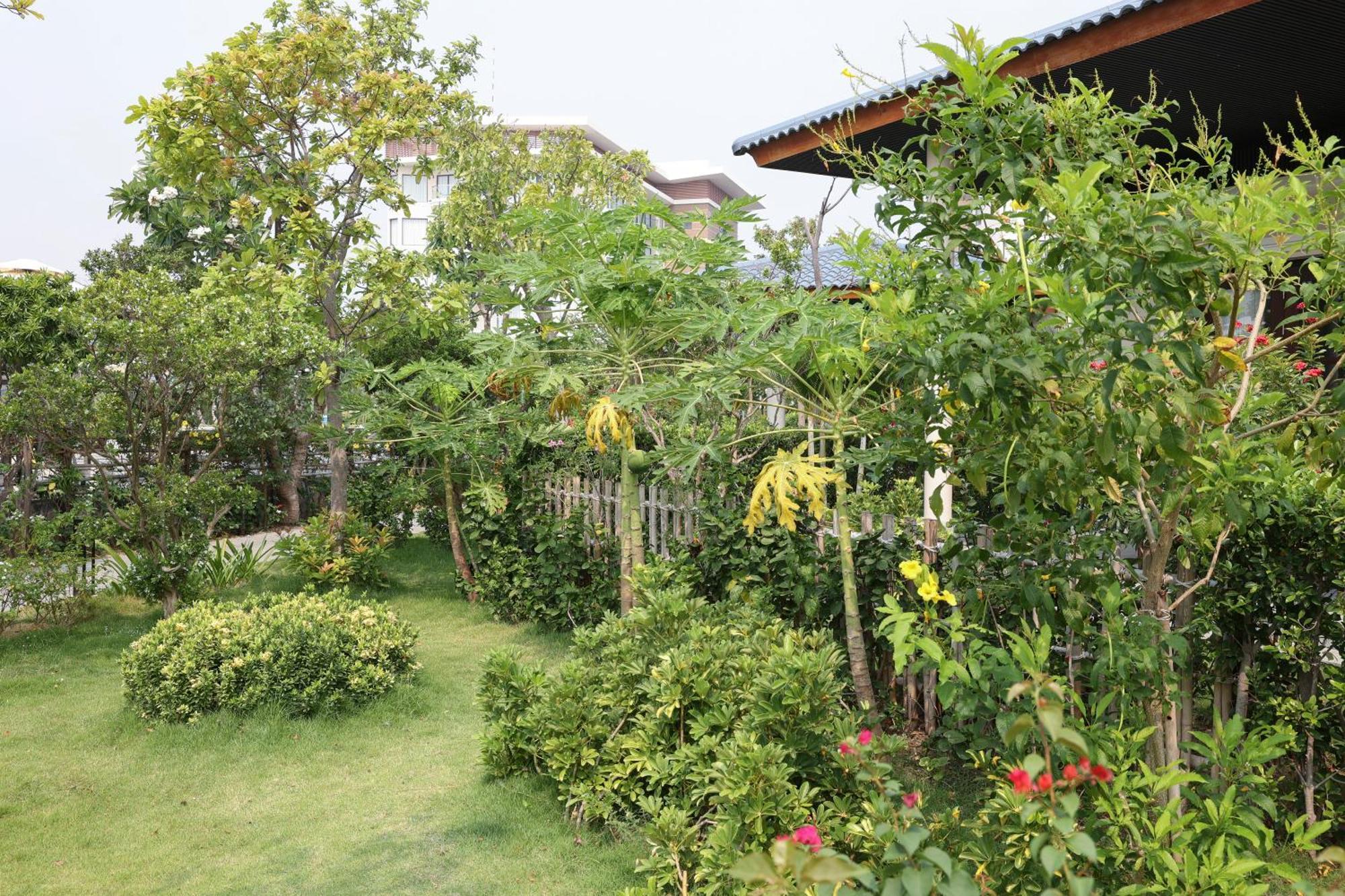פאן ראנג Hoan My Resort - Ninh Chu מראה חיצוני תמונה